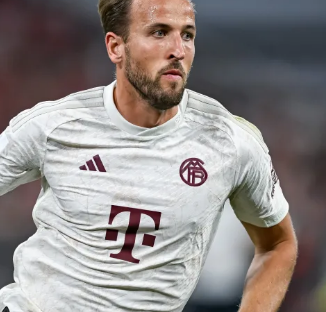 等核心要素 等核心要素