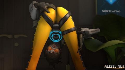 又能回身保 又能回身保